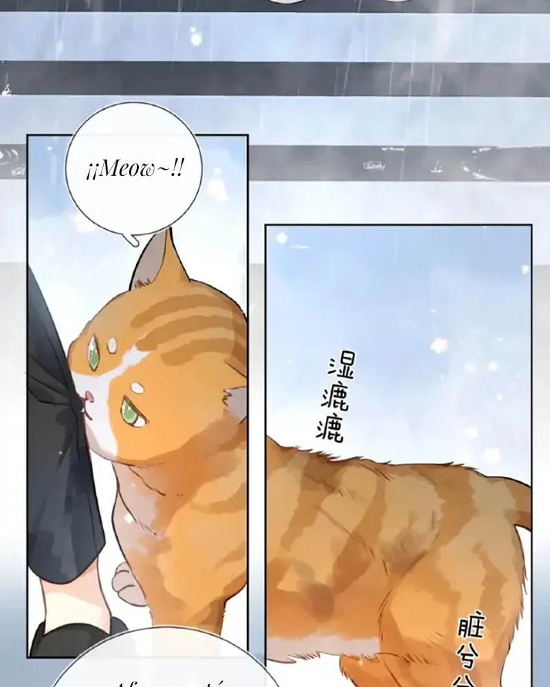 Página 47 del Manga