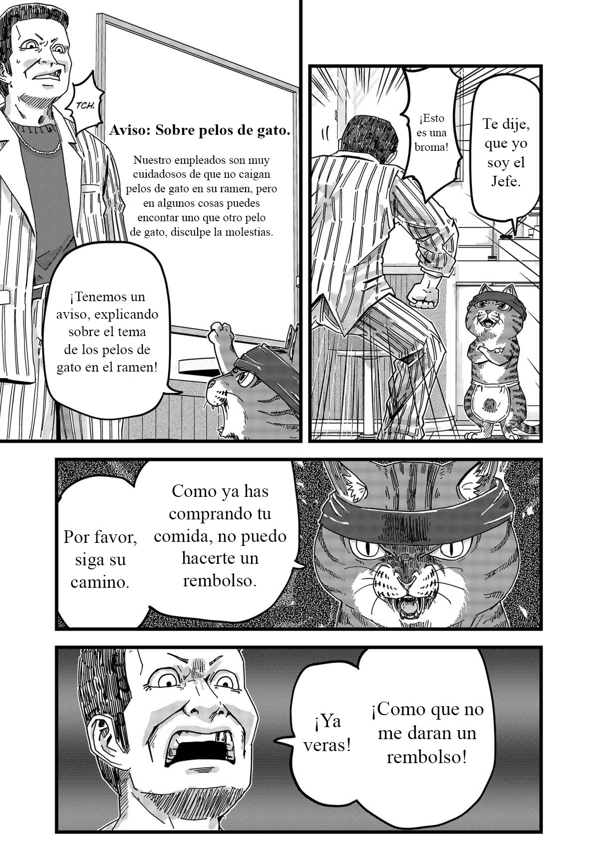Página 17 del Manga