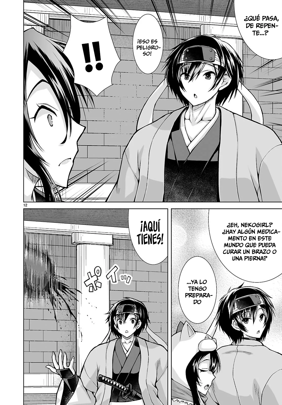 Página 14 del Manga