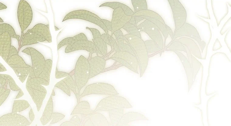 Página 44 del Manga