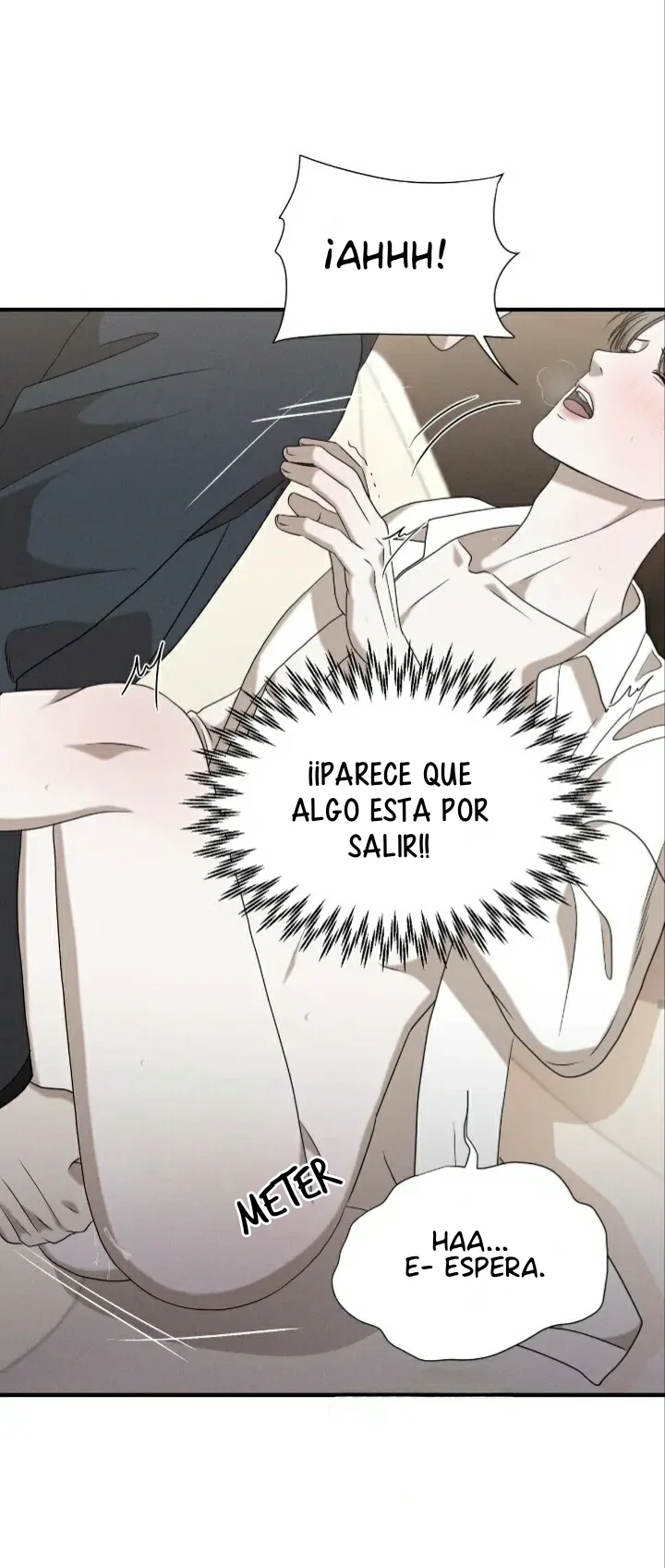 Página 41 del Manga