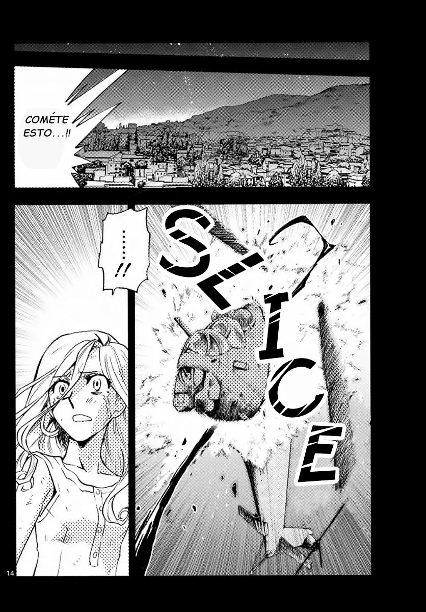 Página 14 del Manga