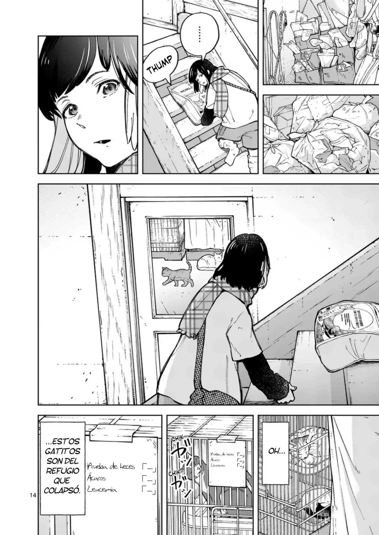 Página 14 del Manga