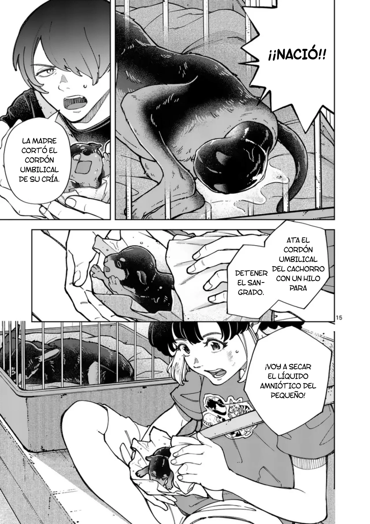 Página 15 del Manga