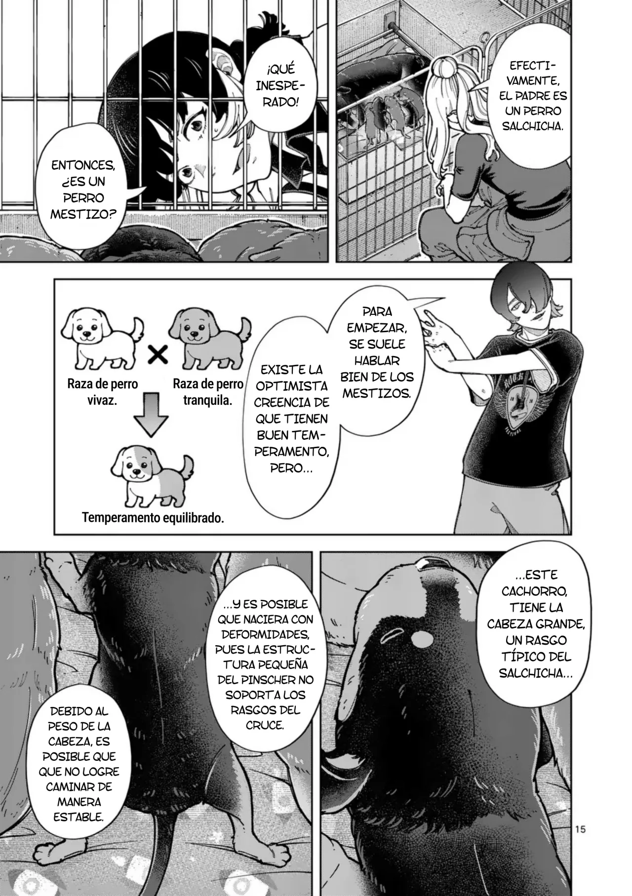 Página 15 del Manga