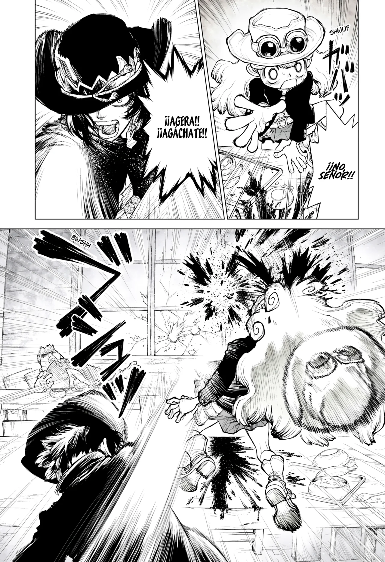 Página 14 del Manga