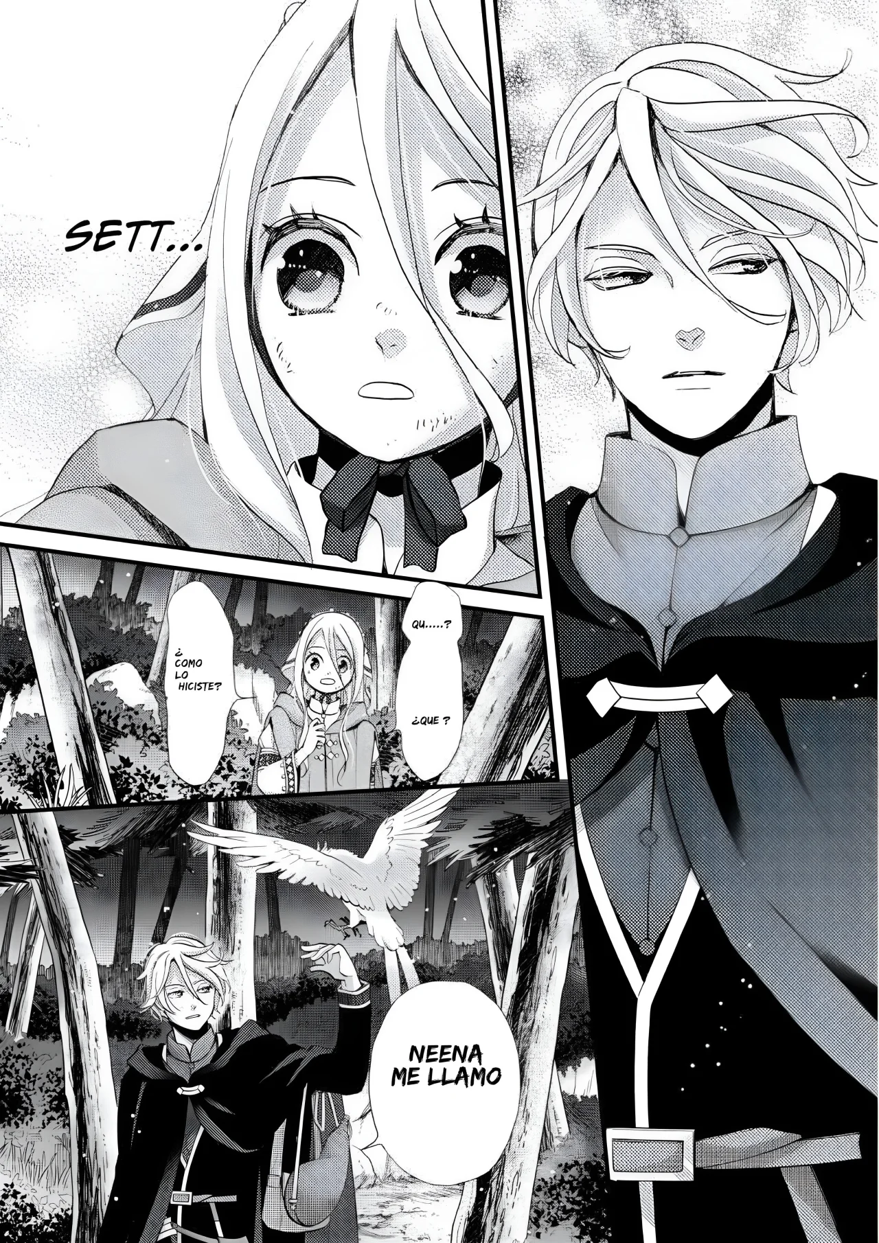 Página 9 del Manga