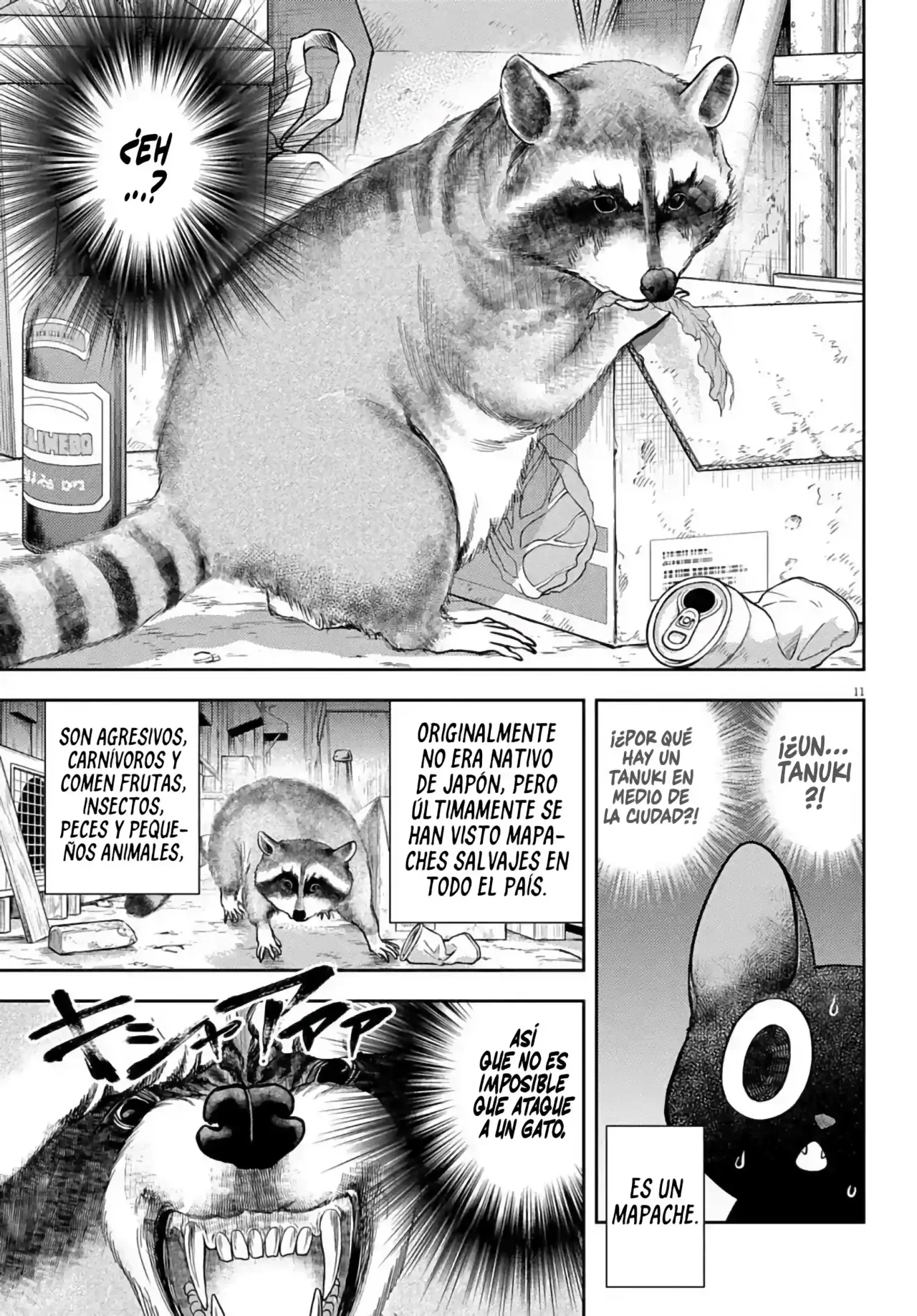 Página 13 del Manga