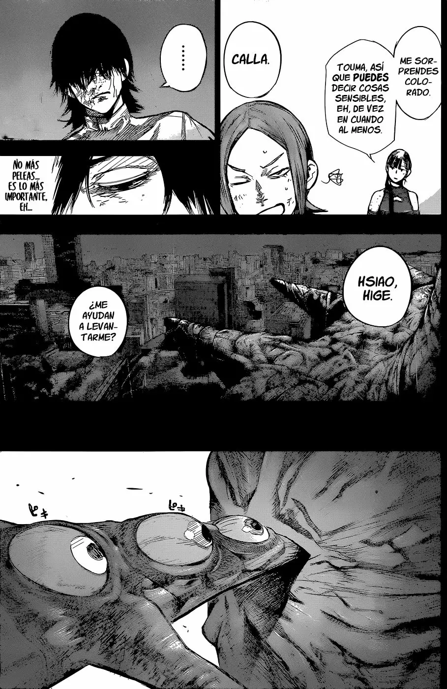 Página 14 del Manga